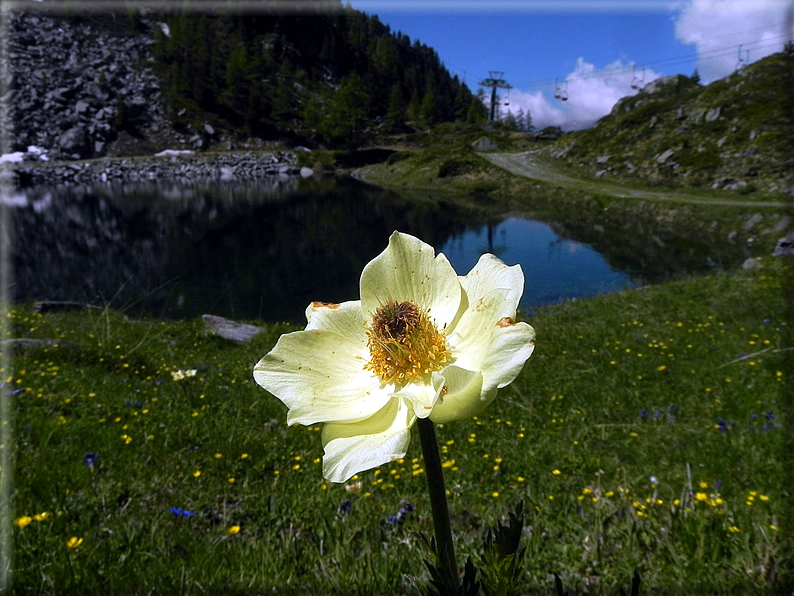 foto  Da Crest verso il Lago Ciarcerio